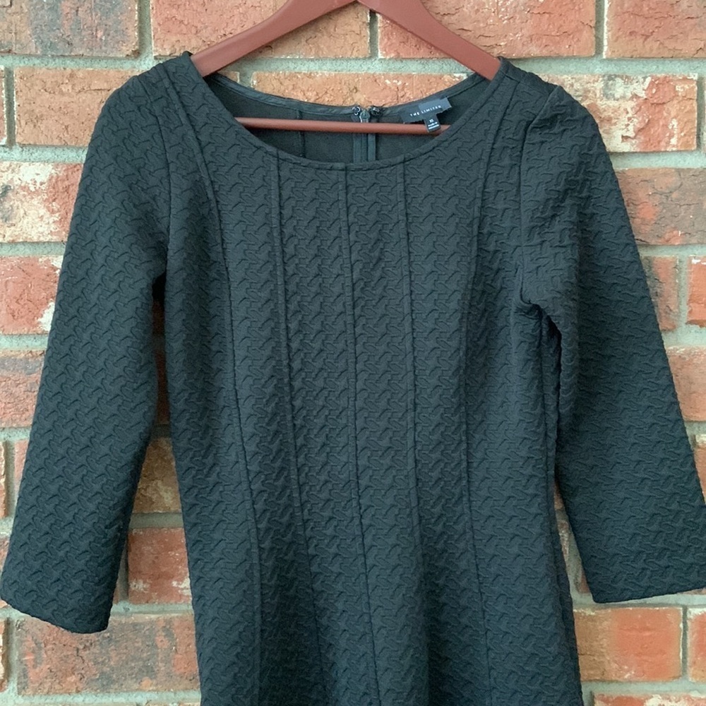 The Limited Black Textured Fit & Flare Dress - Picture 4 of 5